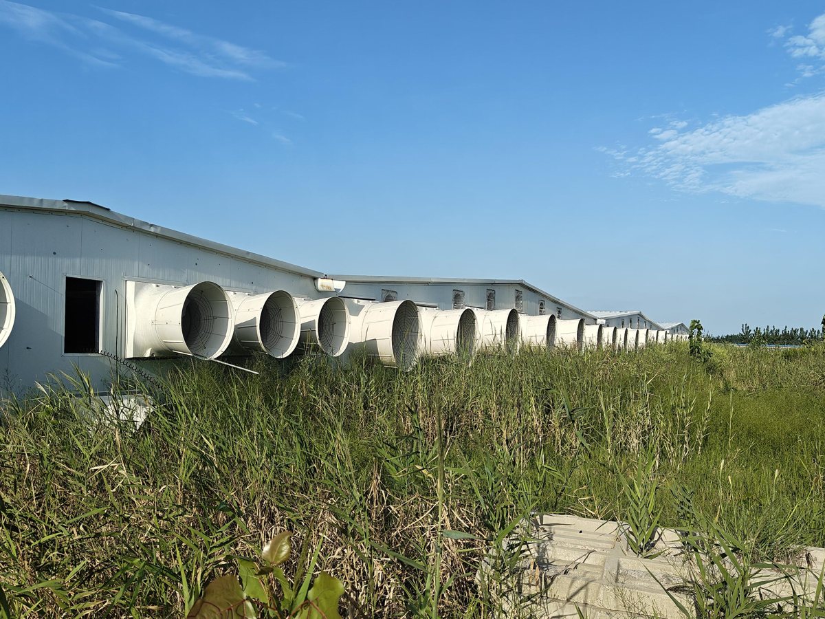 Control Ambiental de Precisión — NanShang